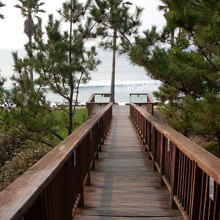 Willa Sunny Day Jeju Seogwipo Zewnętrze zdjęcie