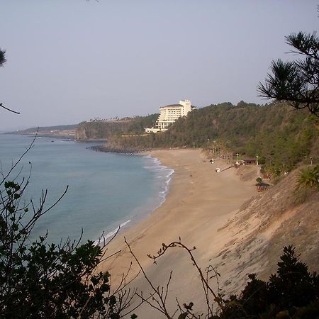 Willa Sunny Day Jeju Seogwipo Zewnętrze zdjęcie