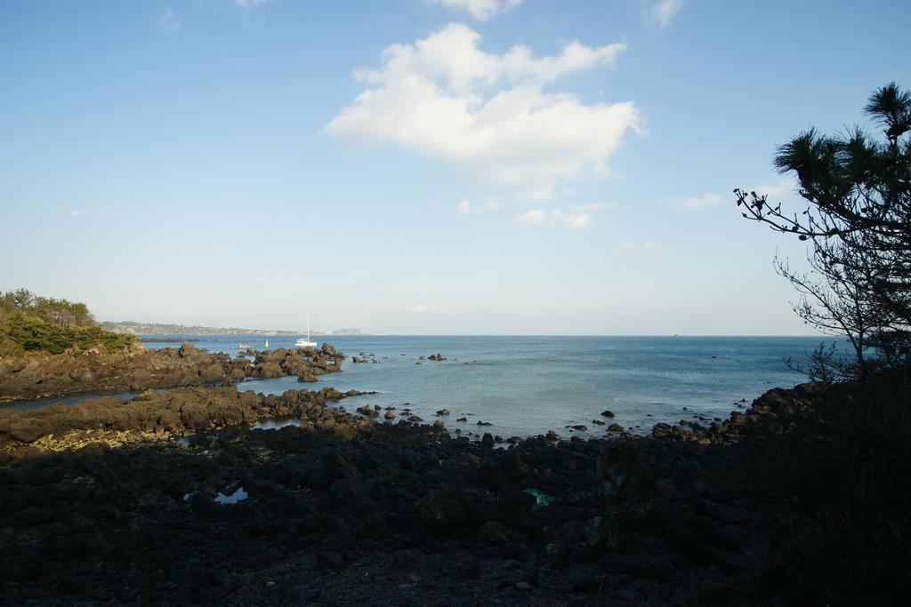 Willa Sunny Day Jeju Seogwipo Zewnętrze zdjęcie