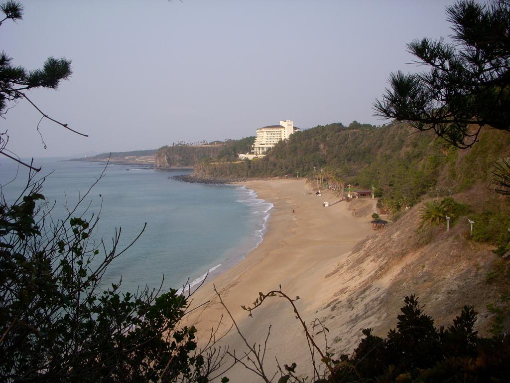 Willa Sunny Day Jeju Seogwipo Zewnętrze zdjęcie